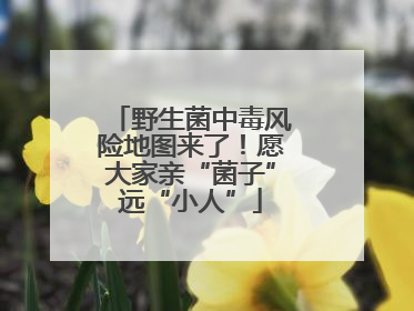 野生菌中毒风险地图来了！愿大家亲“菌子”远“小人”