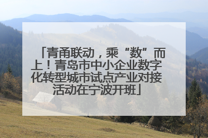 青甬联动，乘“数”而上！青岛市中小企业数字化转型城市试点产业对接活动在宁波开班