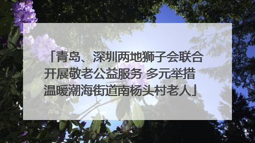 青岛、深圳两地狮子会联合开展敬老公益服务 多元举措温暖潮海街道南杨头村老人