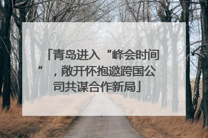 青岛进入“峰会时间”，敞开怀抱邀跨国公司共谋合作新局