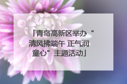 青岛高新区举办“清风拂端午 正气润童心”主题活动