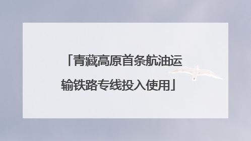青藏高原首条航油运输铁路专线投入使用