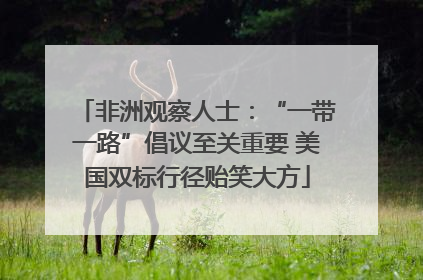 非洲观察人士：“一带一路”倡议至关重要 美国双标行径贻笑大方