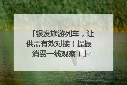 银发旅游列车，让供需有效对接（提振消费一线观察）