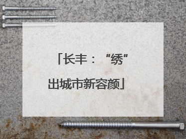 长丰：“绣”出城市新容颜