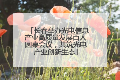 长春举办光电信息产业高质量发展百人圆桌会议，共筑光电产业创新生态