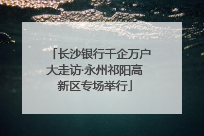 长沙银行千企万户大走访·永州祁阳高新区专场举行