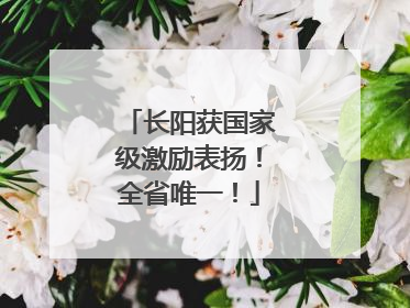 长阳获国家级激励表扬！全省唯一！