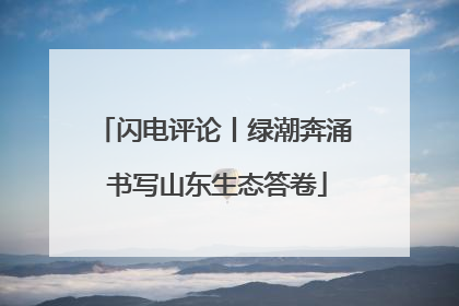 闪电评论丨绿潮奔涌 书写山东生态答卷