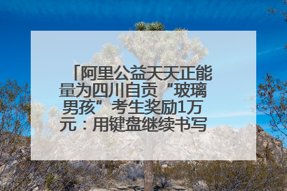 阿里公益天天正能量为四川自贡“玻璃男孩”考生奖励1万元：用键盘继续书写不设限的人生