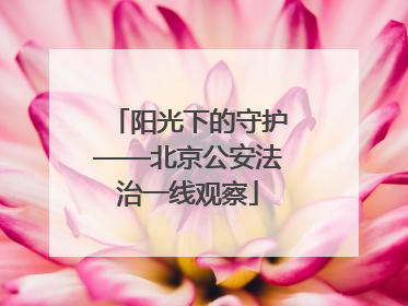 阳光下的守护——北京公安法治一线观察