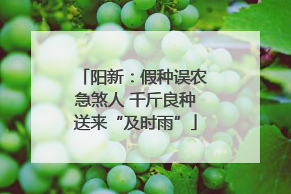 阳新：假种误农急煞人 千斤良种送来“及时雨”