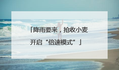 降雨要来，抢收小麦开启“倍速模式”