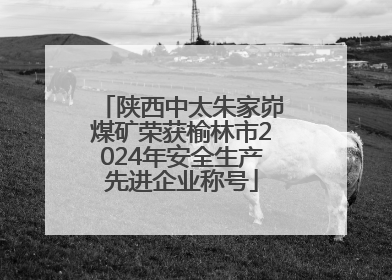 陕西中太朱家峁煤矿荣获榆林市2024年安全生产先进企业称号