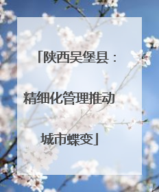 陕西吴堡县：精细化管理推动城市蝶变