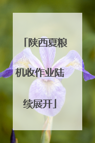 陕西夏粮机收作业陆续展开