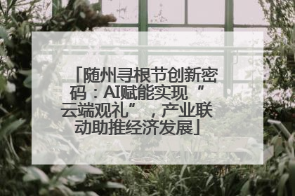 随州寻根节创新密码：AI赋能实现“云端观礼”，产业联动助推经济发展