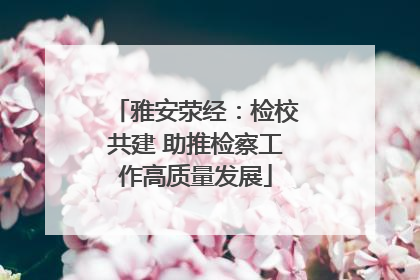 雅安荥经：检校共建 助推检察工作高质量发展