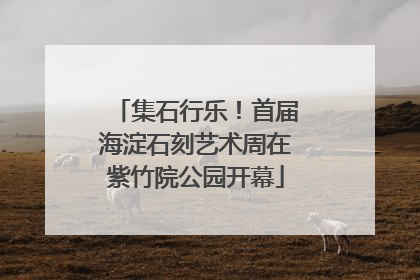 集石行乐！首届海淀石刻艺术周在紫竹院公园开幕