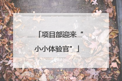 项目部迎来“小小体验官”
