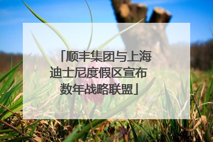 顺丰集团与上海迪士尼度假区宣布数年战略联盟