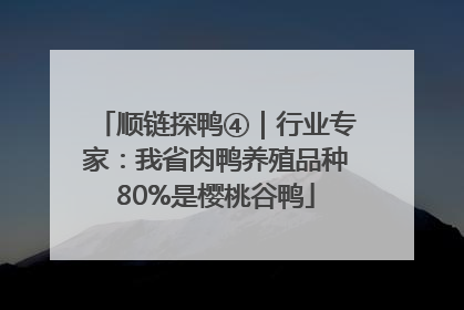 顺链探鸭④｜行业专家：我省肉鸭养殖品种80%是樱桃谷鸭
