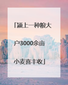 颍上一种粮大户3000余亩小麦喜丰收
