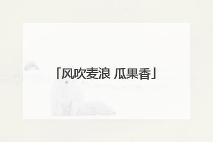 风吹麦浪 瓜果香