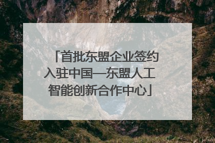 首批东盟企业签约入驻中国—东盟人工智能创新合作中心