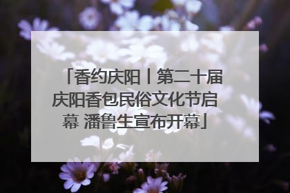香约庆阳丨第二十届庆阳香包民俗文化节启幕 潘鲁生宣布开幕