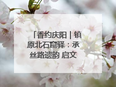 香约庆阳｜镇原北石窟驿：承丝路遗韵 启文旅创新篇章