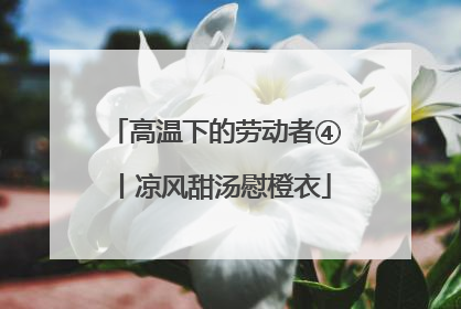 高温下的劳动者④丨凉风甜汤慰橙衣