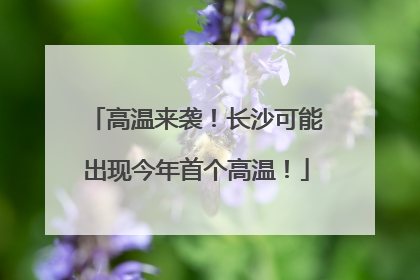 高温来袭！长沙可能出现今年首个高温！