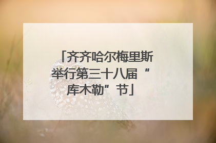 齐齐哈尔梅里斯举行第三十八届“库木勒”节