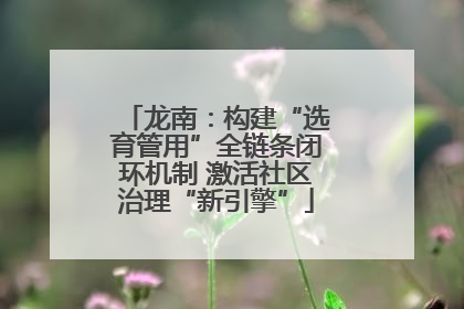 龙南：构建“选育管用”全链条闭环机制 激活社区治理“新引擎”