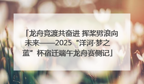 龙舟竞渡共奋进 挥桨劈浪向未来——2025“洋河·梦之蓝”杯宿迁端午龙舟赛侧记