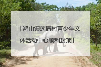 鸿山镇莲厝村青少年文体活动中心顺利封顶