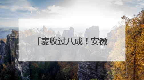 麦收过八成！安徽夏粮有望再迎丰收