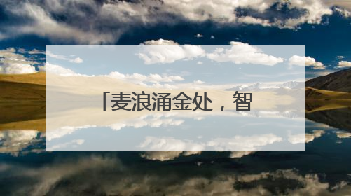 麦浪涌金处，智慧绘新篇！河南首家“小麦—玉米”周年生产无人农场喜迎丰收