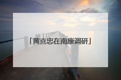 黄喜忠在南康调研