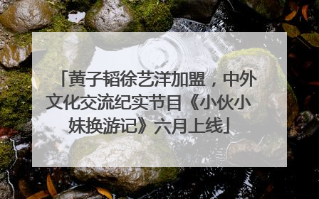 黄子韬徐艺洋加盟，中外文化交流纪实节目《小伙小妹换游记》六月上线
