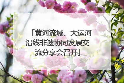 黄河流域、大运河沿线非遗协同发展交流分享会召开