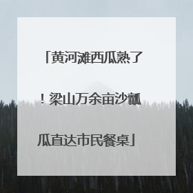 黄河滩西瓜熟了！梁山万余亩沙瓤瓜直达市民餐桌
