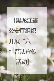 黑龙江省公安厅组织开展“六一”普法宣传活动