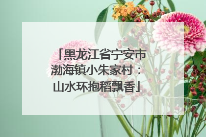 黑龙江省宁安市渤海镇小朱家村：山水环抱稻飘香
