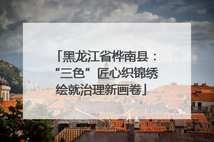 黑龙江省桦南县：“三色”匠心织锦绣 绘就治理新画卷