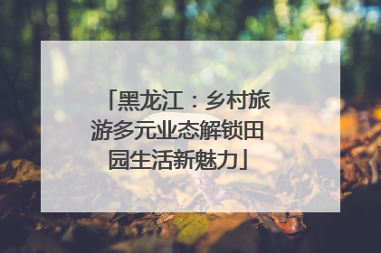 黑龙江：乡村旅游多元业态解锁田园生活新魅力