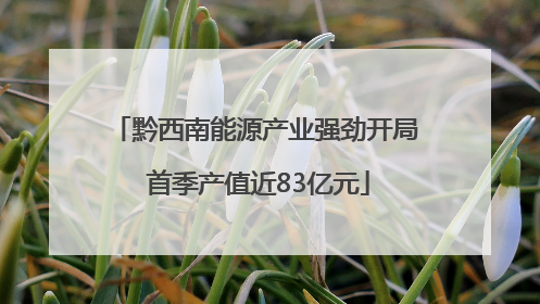 黔西南能源产业强劲开局 首季产值近83亿元