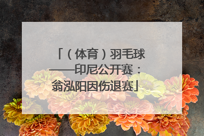 （体育）羽毛球——印尼公开赛：翁泓阳因伤退赛