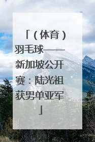（体育）羽毛球——新加坡公开赛：陆光祖获男单亚军